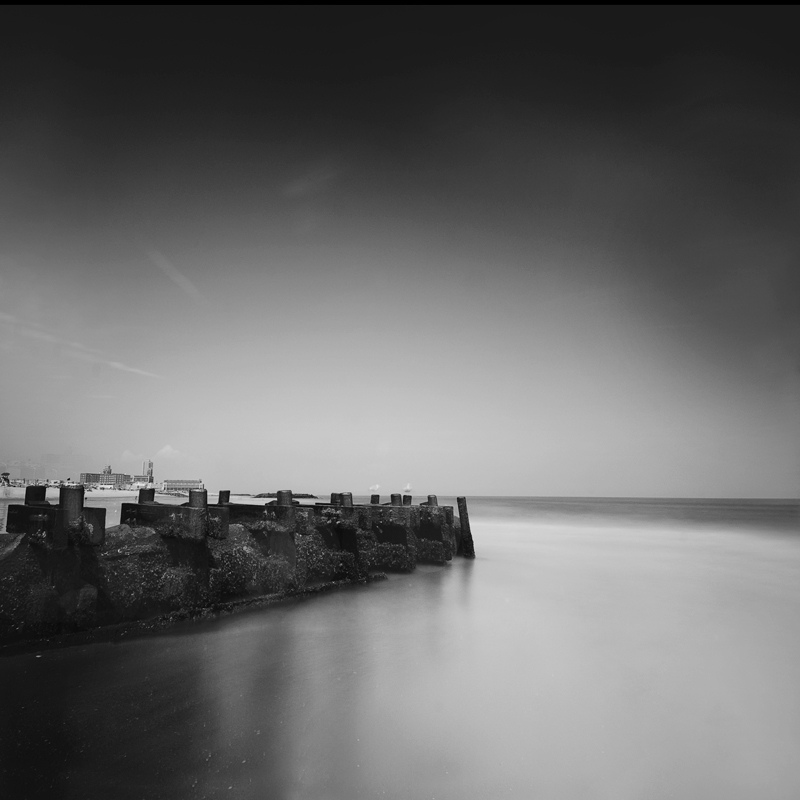 People watching With the bird